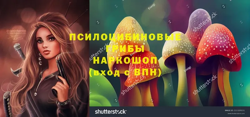 Псилоцибиновые грибы Magic Shrooms  Духовщина 